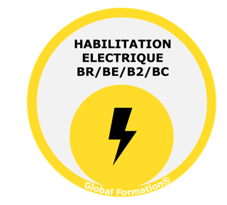 Logo qualification habilitation électrique